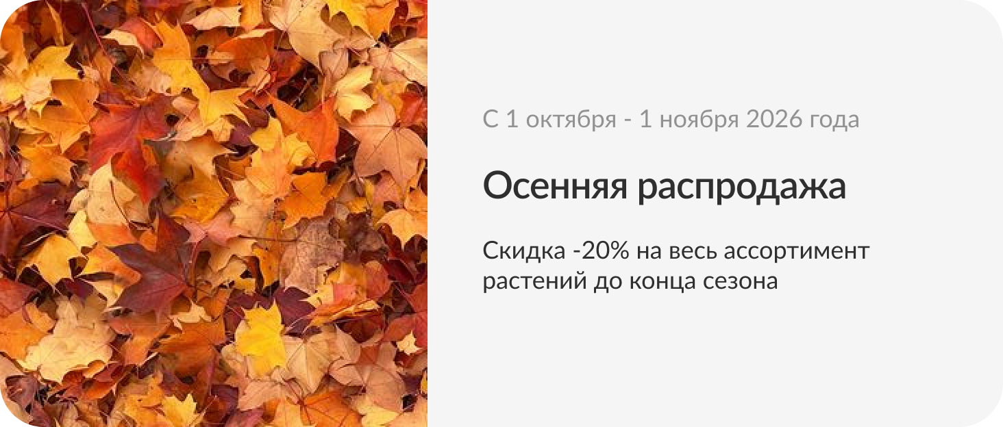 Осенняя распродажа