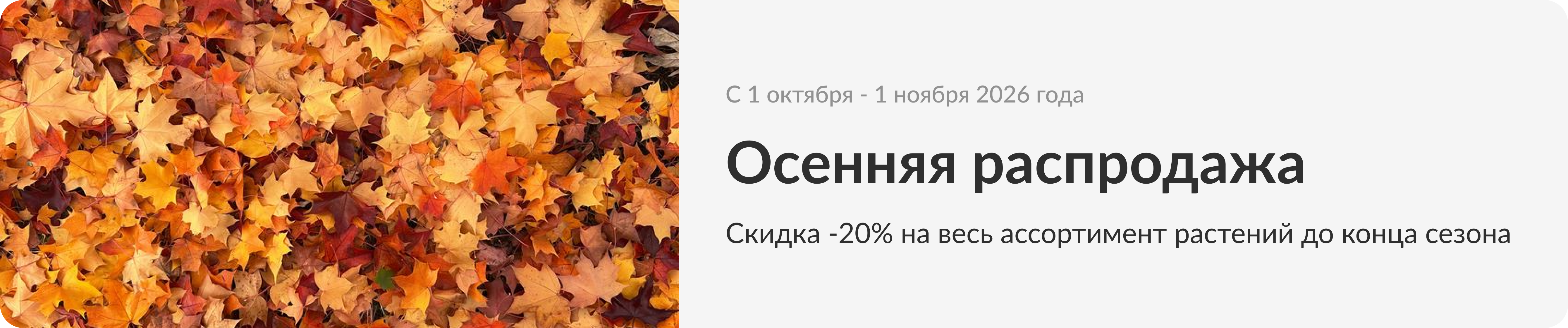 Осенняя распродажа