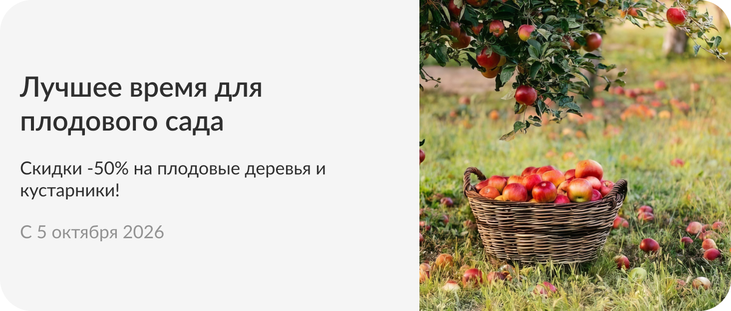 Плодовые