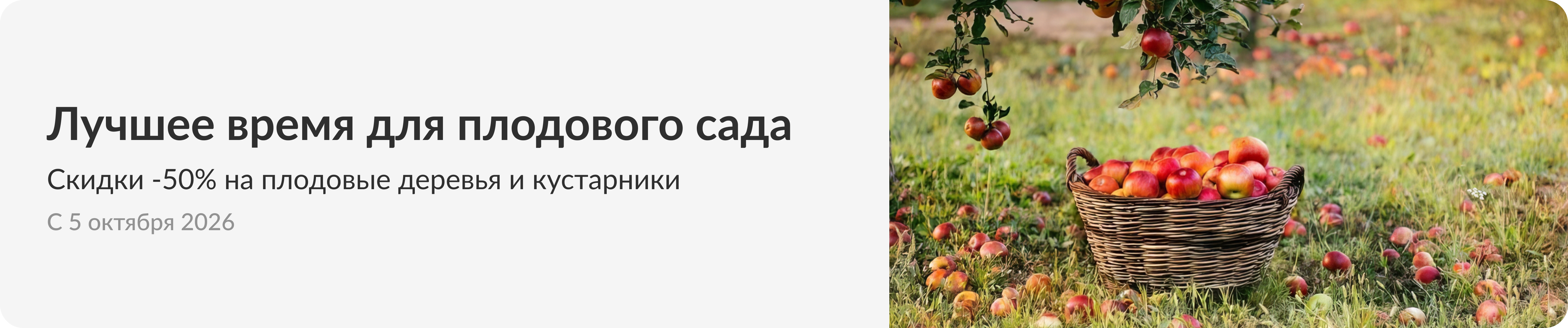 Плодовые